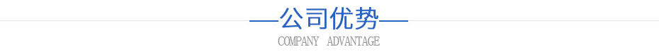 公司優勢